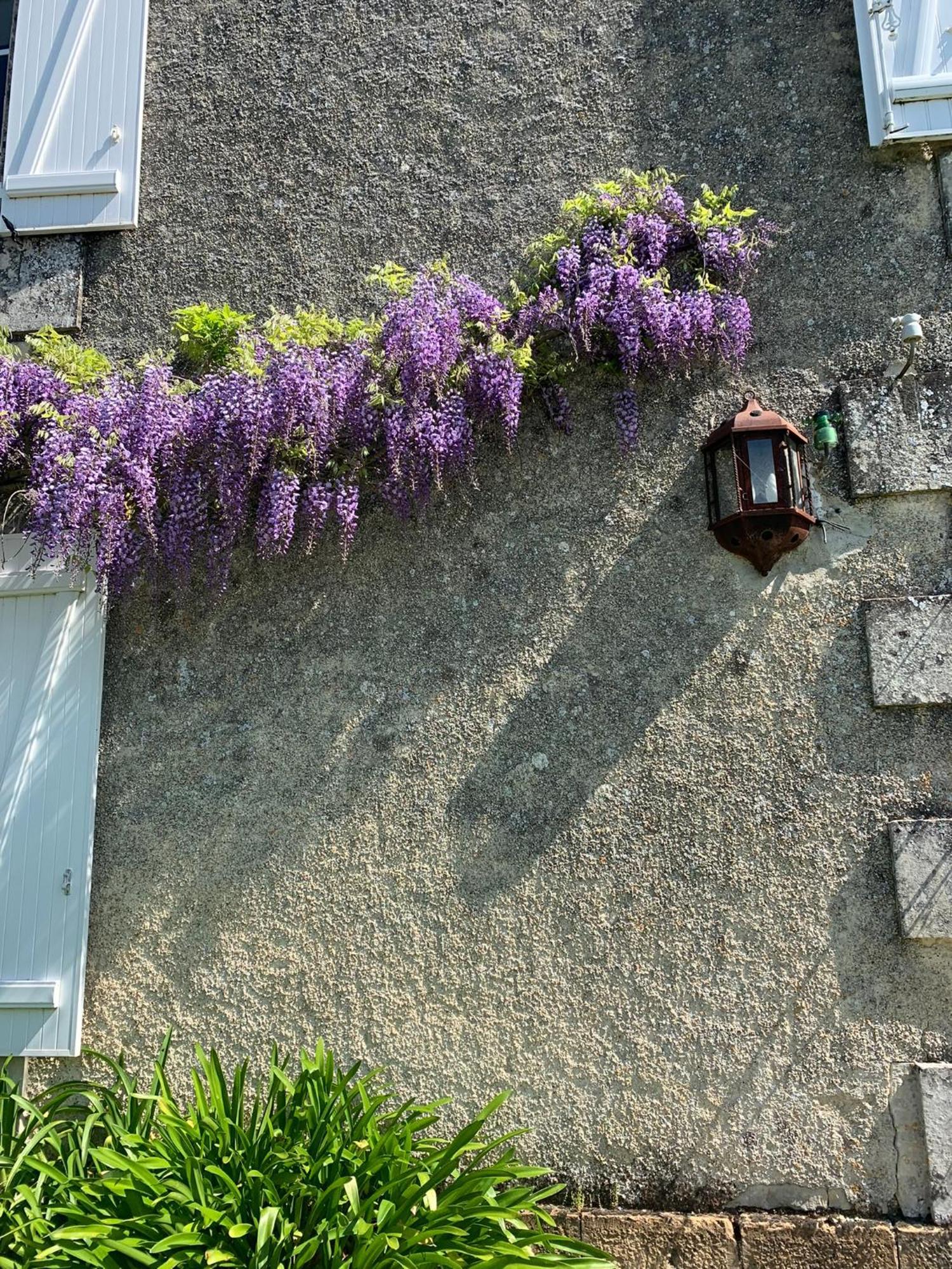 No5 Chambre D'Hotes Courcome Buitenkant foto